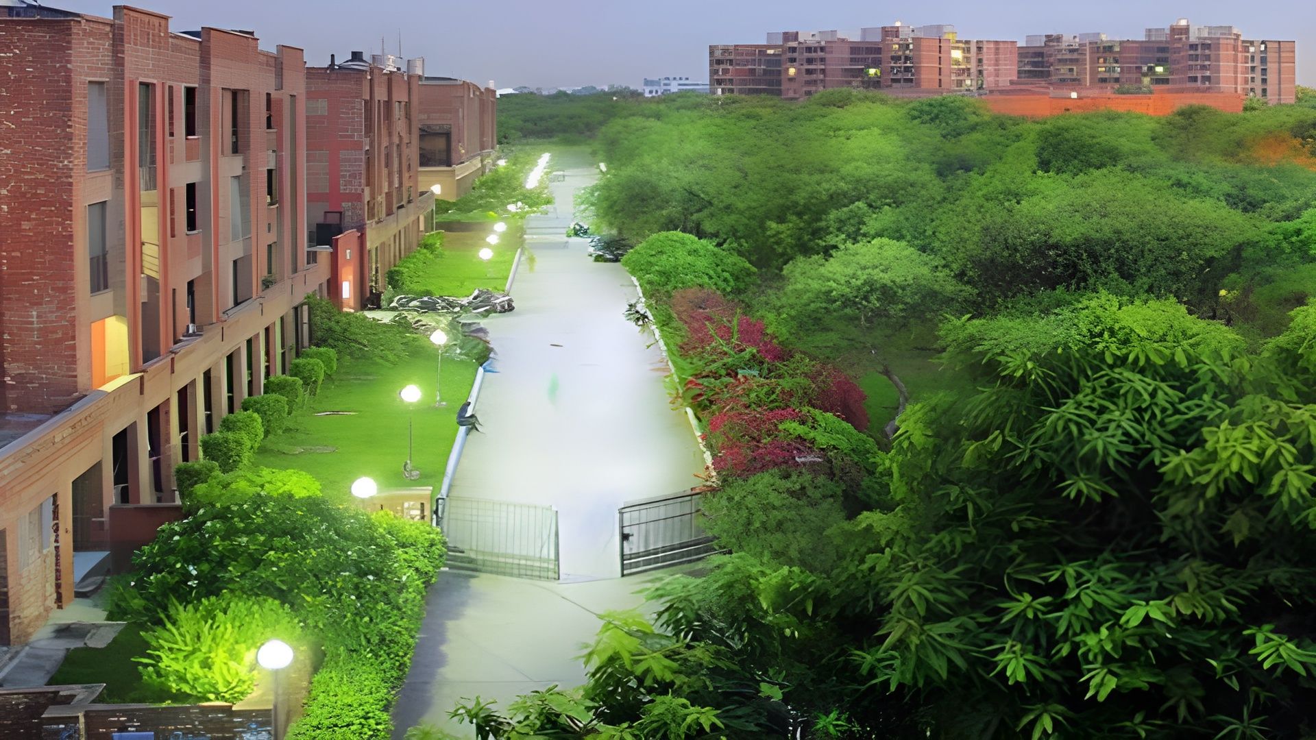 JNU Campus Delhi